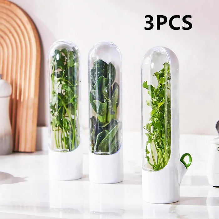 Fresh Herb Saver Refrigerator Container